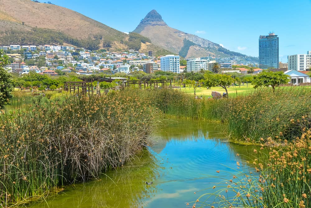 At Green Point Park