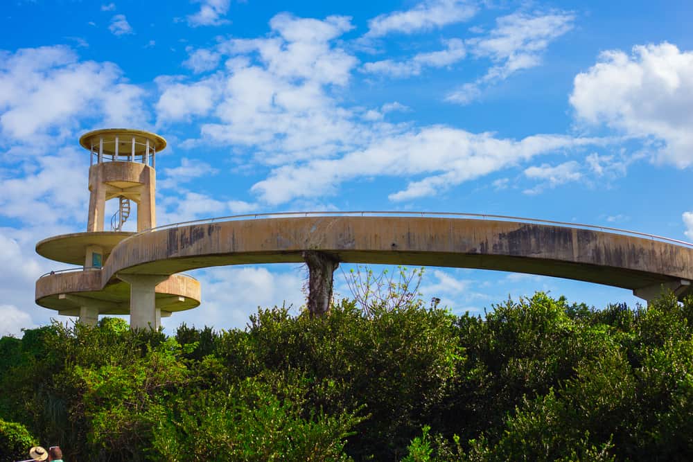 Shark Valley Observation Tower