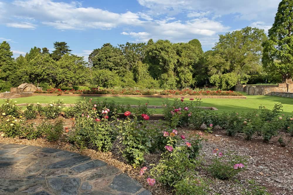 Johannesburg Botanical Gardens