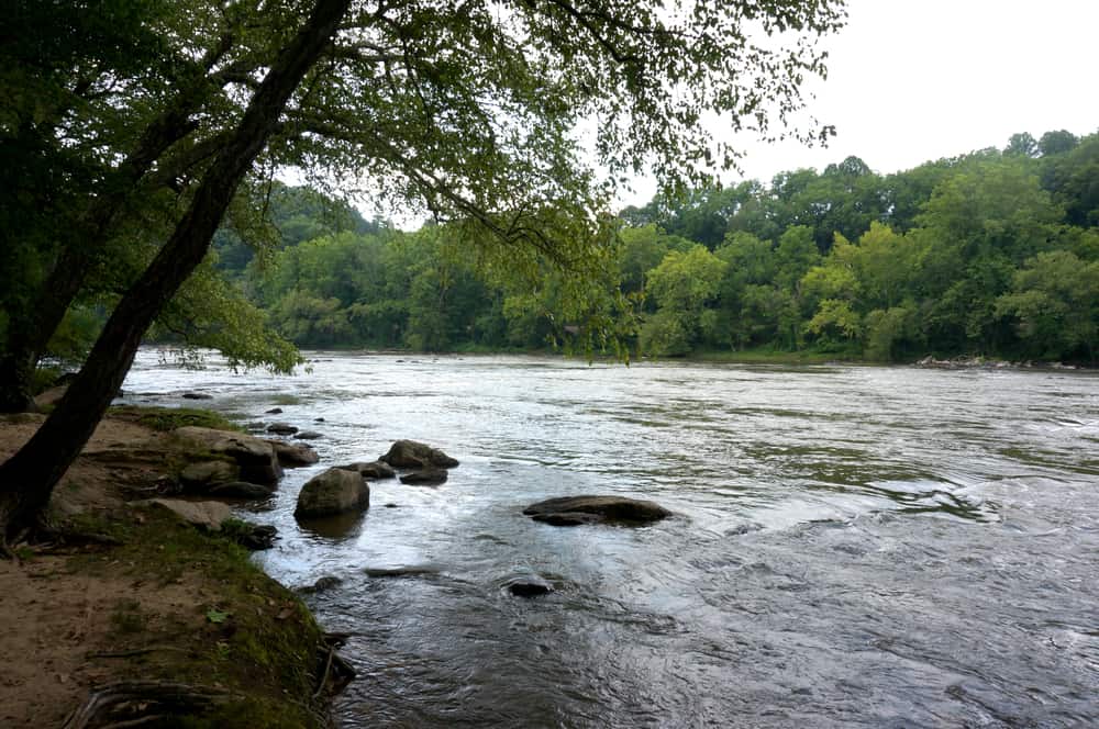 French Broad River, Asheville