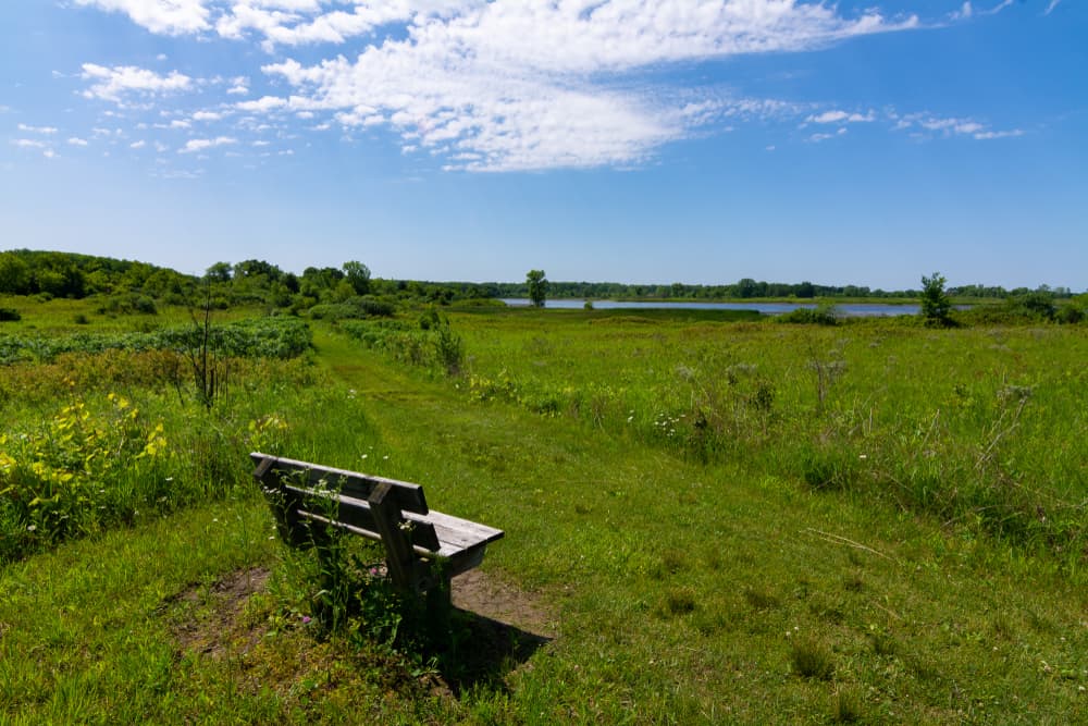 Richard Bong State Recreation Area