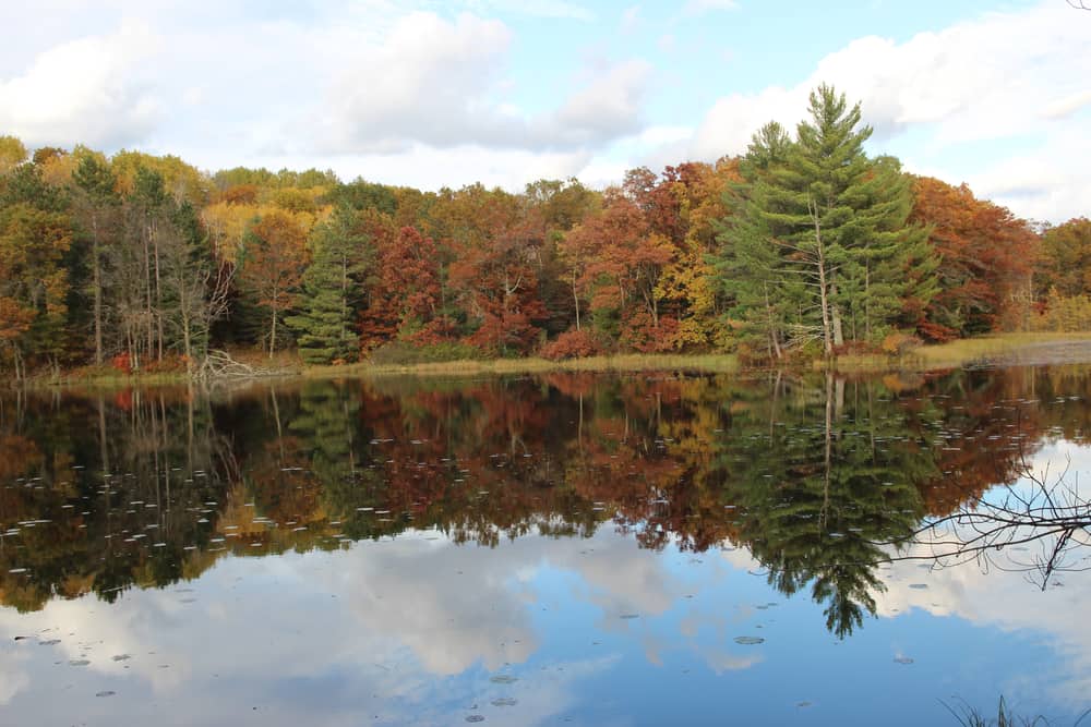 Brunet Island State Park