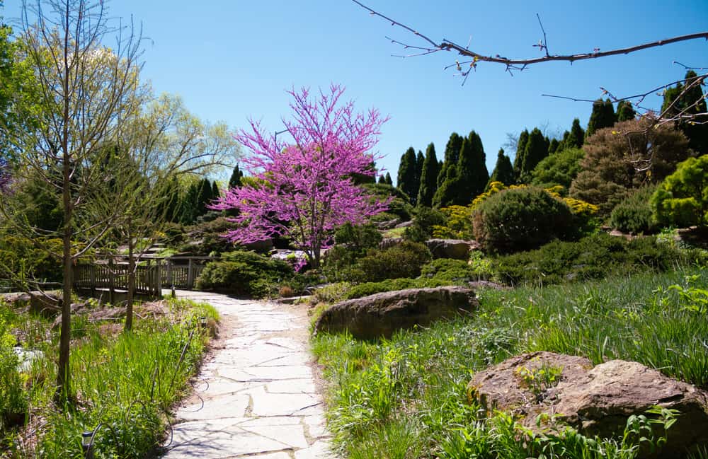 Olbrich Botanical Gardens