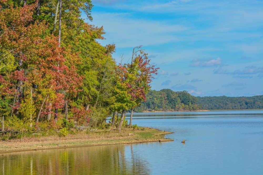 Staunton River State Park
