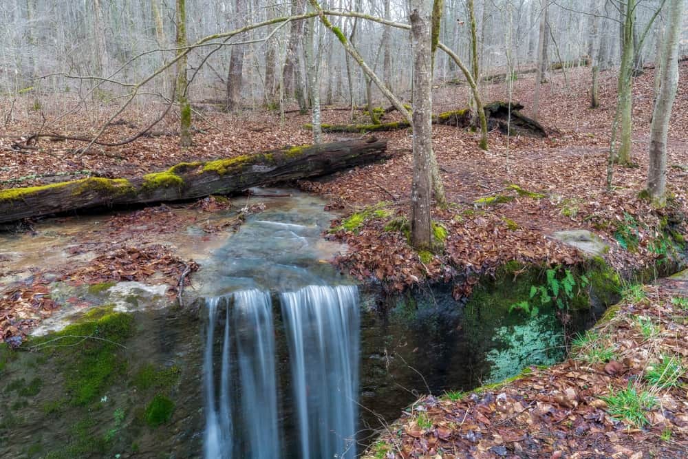 Rockbridge State Nature Preserve