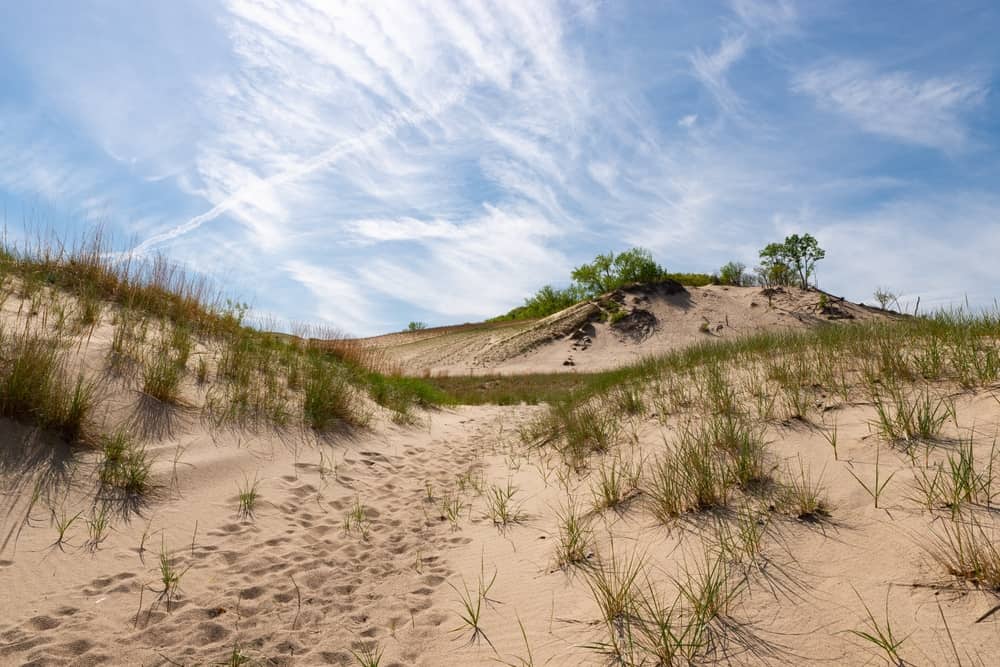 Warren Dunes State Park