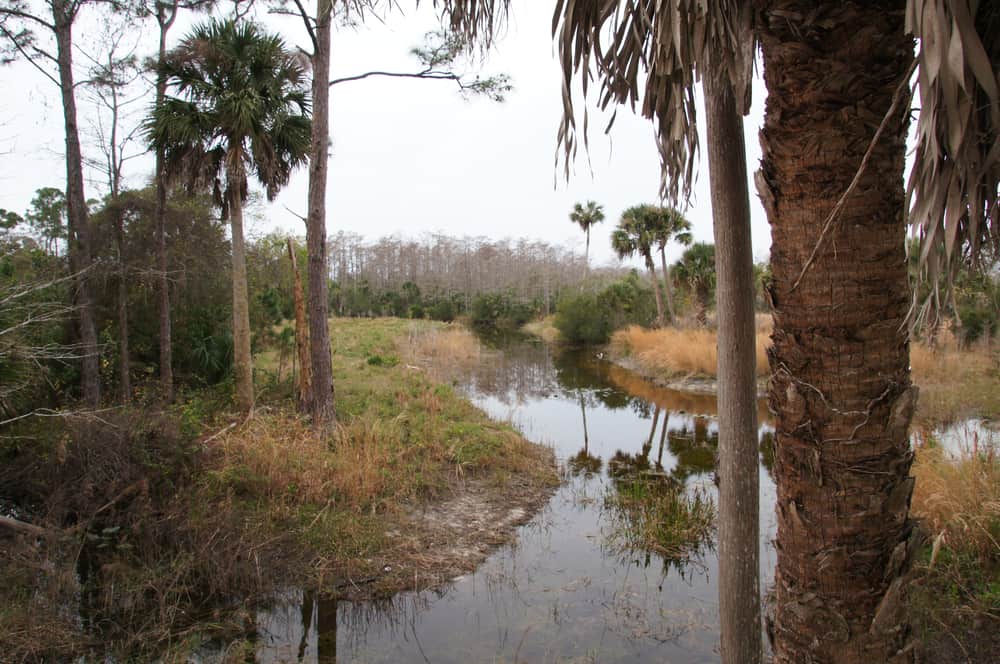 Riverbend Park Jupiter